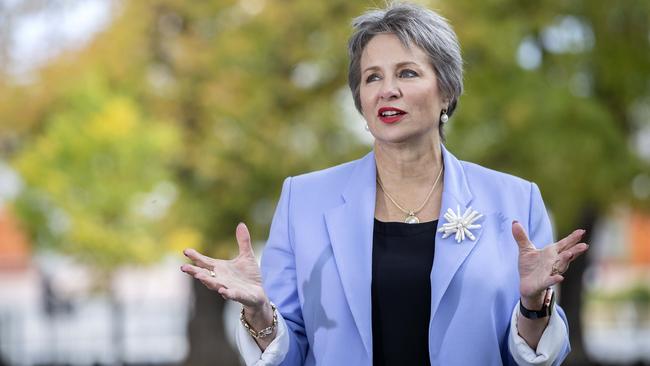 Glenorchy mayoral hopeful Sue Hickey. Picture: Chris Kidd