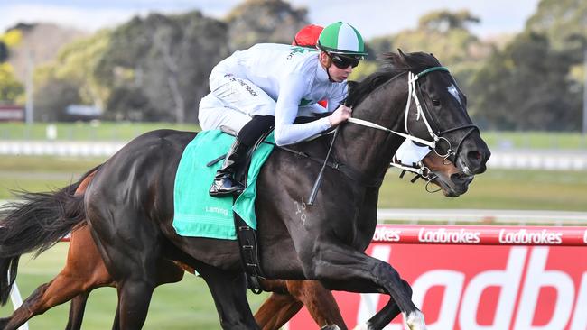 Bank Maur is a top chance in the final race at Caulfield on Saturday, Picture: Pat Scala/Racing Photos via Getty Images