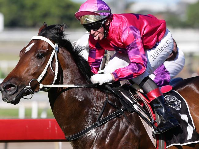 SPORT. BCM. 1/12/12. Race 7. Winner #7 The Conspirator ridden by Paul Hammersley at Eagle Farm races. Pic Darren England.