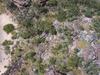 REMOTE TRAGEDIES: More details emerge about fatal outback crash