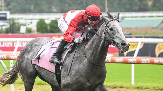 Jye McNeil riding Military Mission to victory in last year’s Zipping Classic in heavy conditions. Picture: Reg Ryan/Racing Photos via Getty Images