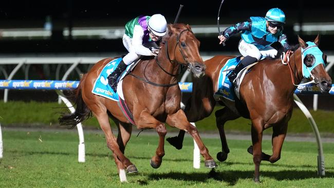 Montather’s consistent recent form could bring him a city success at Caulfield on Saturday. Picture: Racing Photos via Getty Images