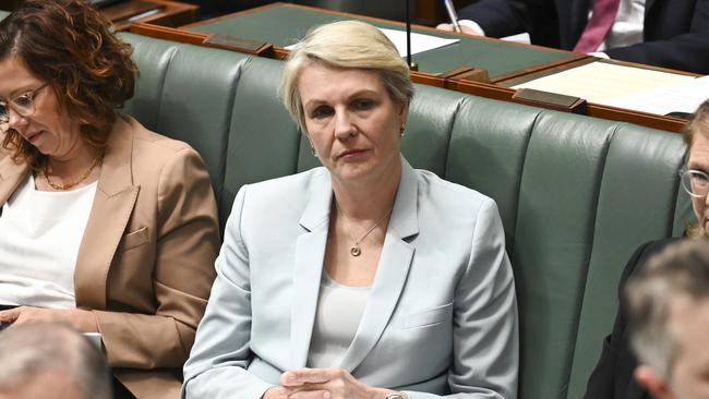 Environment Minister Tanya Plibersek during Question Time at Parliament House in Canberra. Picture: NewsWire / Martin Ollman