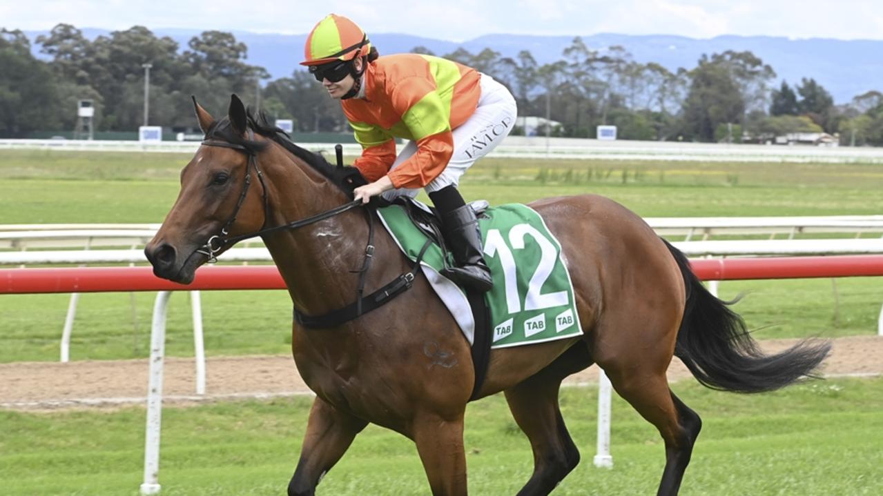 Proud Image can land a second career win in the opening race at Nowra on Sunday. Picture: Bradley Photos