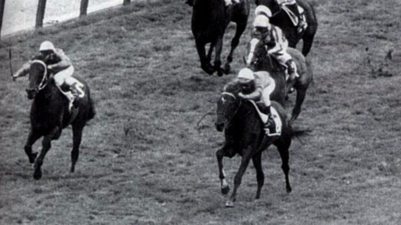 1984 : Australian racehorse Strawberry Road (L) overtaken by eventual winner Sadace in 1984 Prix de L'Arc de Triomphe at Longchamp in Paris. BLACK & WHITE IMAGE. Turf A/CT