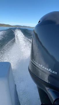 Barramundi on Lake Awoonga