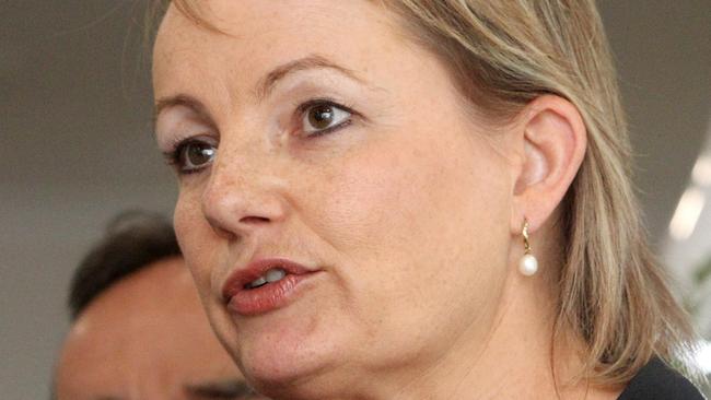 Federal Health Minister Sussan Ley has hinted that promised investment in medical research may not eventuate. Picture: Kym Smith