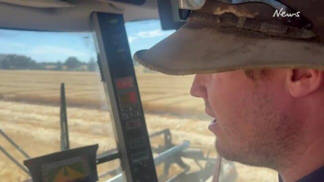 Wheat harvest shapes up well in southern NSW