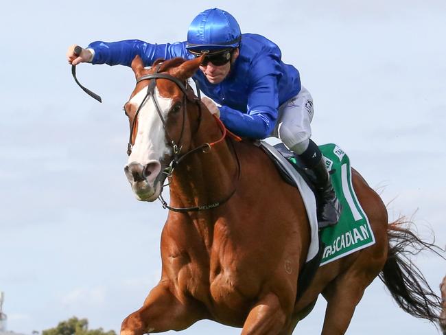 Cascadian (GB) ridden by Ben Melham wins the TAB Australian Cup at Flemington Racecourse on March 25, 2023 in Flemington, Australia. (Photo by George Sal/Racing Photos via Getty Images)