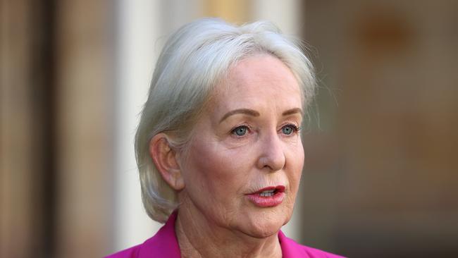 Shadow Health Minister Ros Bates during a news conference at State Parliament, Brisbane. Picture: Liam Kidston.