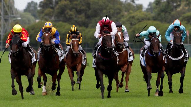 Sidestep, centre, could upstage his stablemate Generalife.