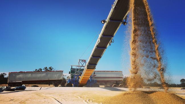 Grain stores at a GrainCorp site. Picture: Supplied GrainCorp