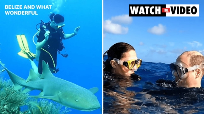 Prince William and Kate Middleton swim with sharks in the Caribbean