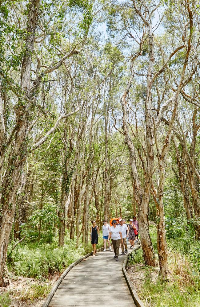 Nyanda Cultural Tours at Nudgee Waterholes.