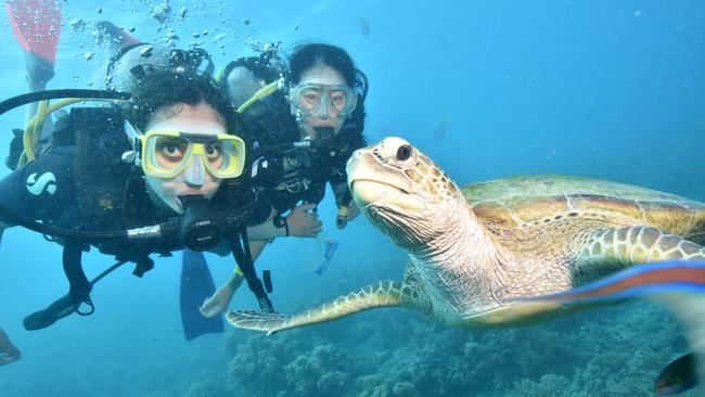 Divers enjoy the coral and marine life at Moore Reef, off Cairns, yesterday. Picture: Calypso Reef Imagery