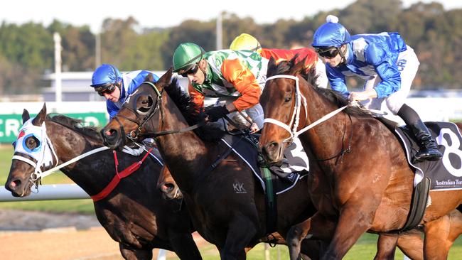 Sons Of John, centre, showed his talent with a brave second to Winx in the Theo Marks Stakes last spring. Picture: Simon Bullard