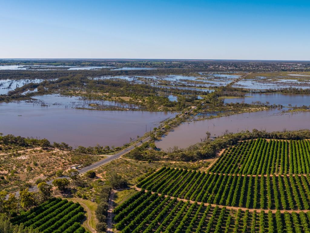 Aerial view from Bookie Hill to Berri on November 17 showing Bookpurnong Road, which is expected to close within days. Picture: Murray River Pix