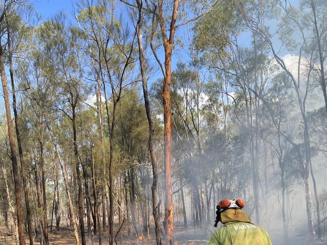 Barakula State Forest fire 7/11/24