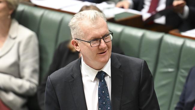 Immigration Minister Tony Burke blocked Ms Owens’ visa on character grounds. Picture: NewsWire / Martin Ollman