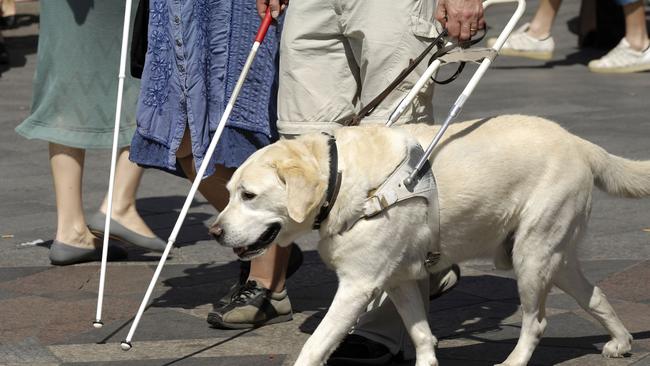 Trials of the NDIS starts tomorrow.