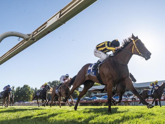 Gundy Guy dashes clear to win at Canberra in March. Picture: Bradley Photos