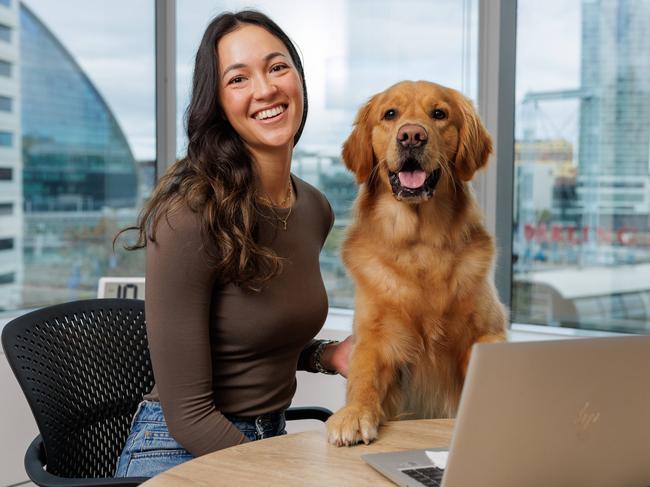 Pet-friendly workspaces are among the work perks popping up in job ads. Pictured: Jess Walker, with her dog, Magnus, at work in Sydney. Picture: Justin Lloyd