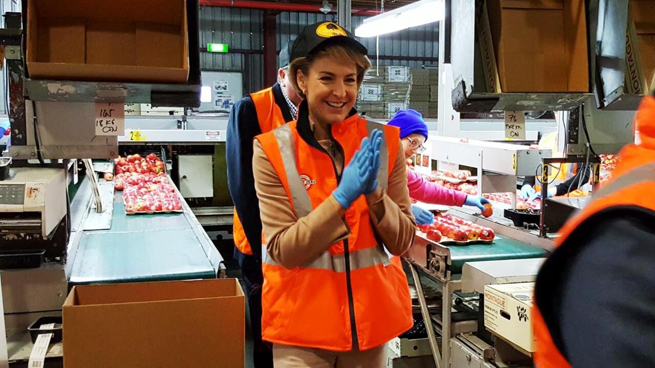 Labor demands Cash formally apologise