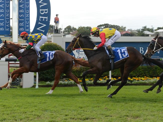 Wack'em runs second to Mistral Thief at Doomben. Picture: Trackside Photography.