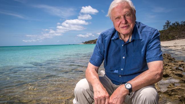 david attenborough