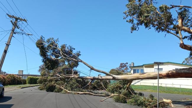 Windy weather wreaking havoc in the Clarence municipality. Image: Clarence City Council.