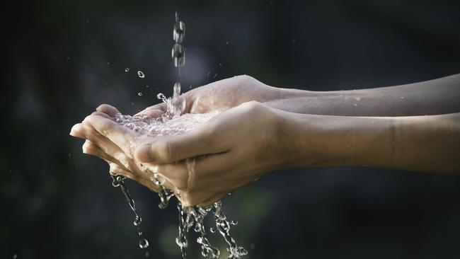 Health organisations around the world support fluoridating major water supplies.