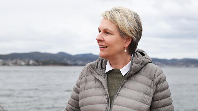 Federal Environment Minister Tanya Plibersek in Hobart in relation to the spotted handfish. Picture: Nikki Davis-Jones