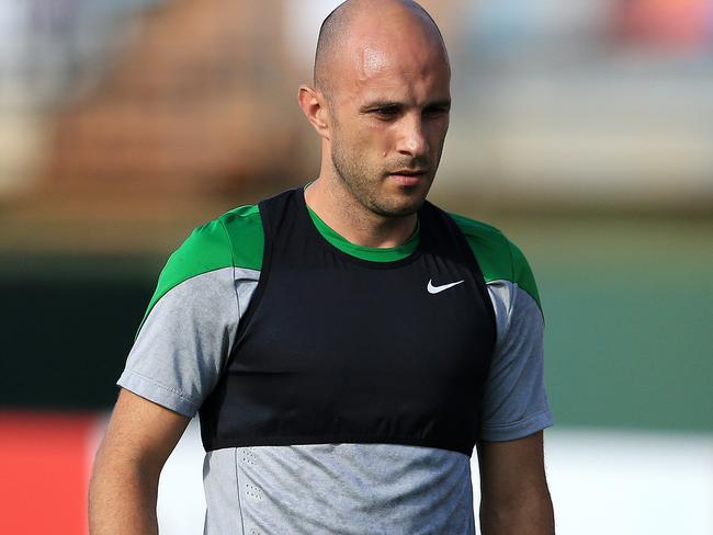 Mark Bresciano has indicated he wants to play on.