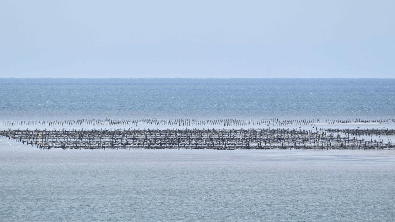 Oyster farms in Kangaroo Island, Stansbury and Port Vincent have closed, with testing underway on the Eyre Peninsula. Picture: Brenton Edwards