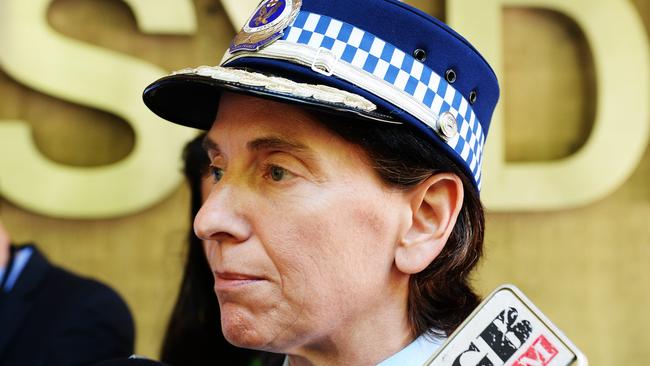 NSW Police Deputy Commissioner Catherine Burn said police were on top of terror threats./