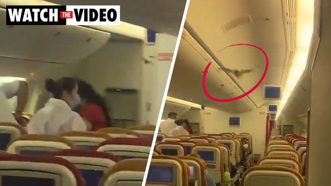 Loose bat on Air India flight forces it to turn around mid-flight ...