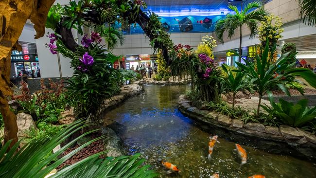 Changi Airport’s Terminal 2 orchid garden.