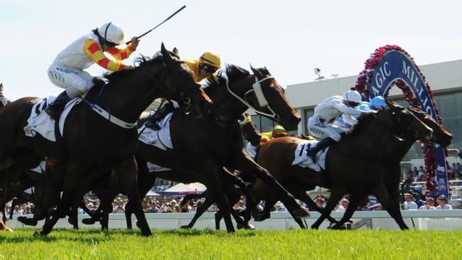 Testashadow, left, won by the narrowest of margins on Saturday. Picture: Grant Peters