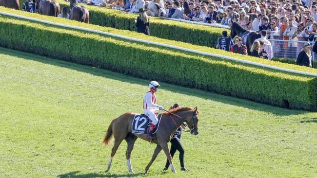 Craig Williams returns on Giga Kick after winning The TAB Everest. Picture: Jenny Evans–Getty Images