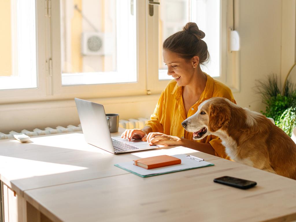 With WFH, young workers barely meet their older colleagues, from whom they might learn one or two things while chatting in the same building.