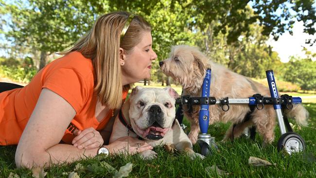 Debbie has been nominated for the Thanks a Million campaign. Debbie with Betsy and Louie (blue wheels) Picture: Keryn Stevens