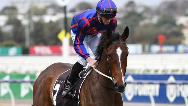 Four-year-old Ayrton is among the top fancies for both the Epsom Handicap and Golden Eagle in Sydney. Picture: Getty Images