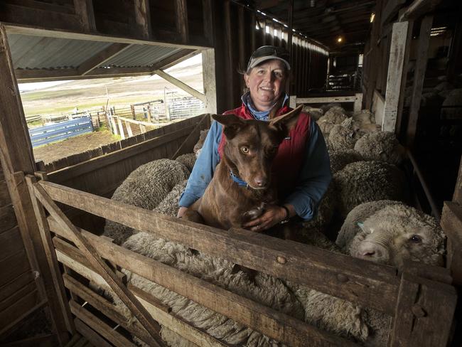 Karen Fish with her kelpie Tuff in the shearing shed at Oatlands. Picture: Chris Kidd