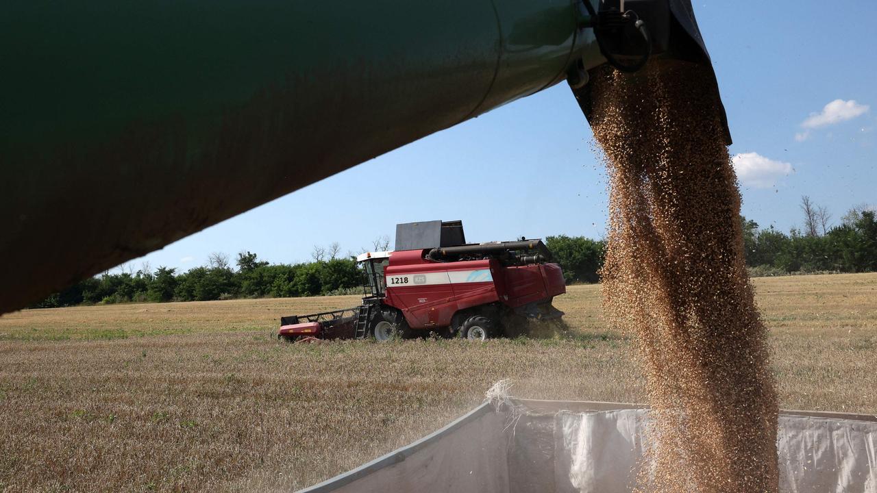 Global uncertainty lifts wheat price