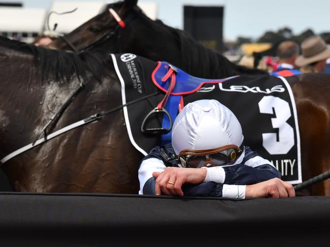 Master Of Reality rider reacts after being dropped to fourth. (AAP Image/Vince Caligiuri)