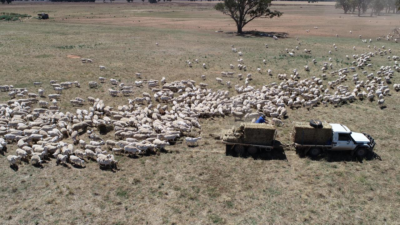 A much-needed delivery from Rural Aid has allowed him to keep his remaining sheep alive. Picture: Rural Aid.