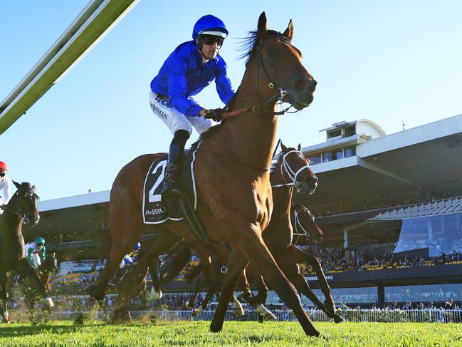 Sydney kingpin Bivouac should make amends for his failure at The Valley.