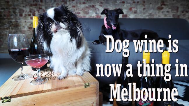 Dog wine is now a thing in Melbourne