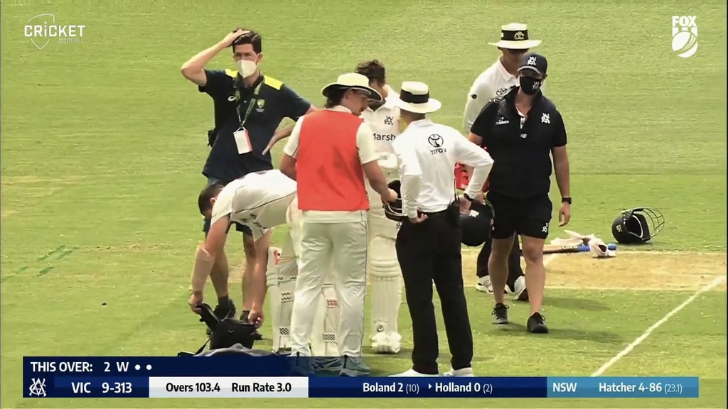Play was brought to a halt early on day two so medical staff could assess Holland. Image: Fox