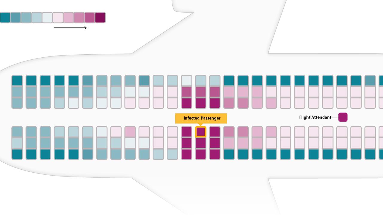 The plane seating chart shows where to sit, with purple squares indicating people more likely to catch the virus.